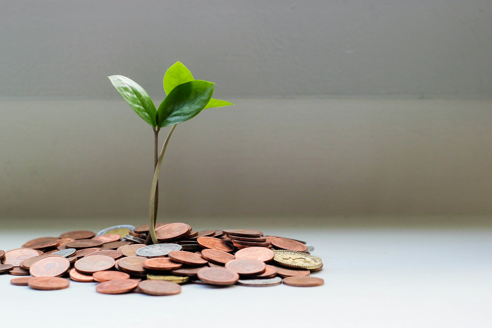 coins and a small plant, used beside the notes on How cash sits inside an automated portfolio
